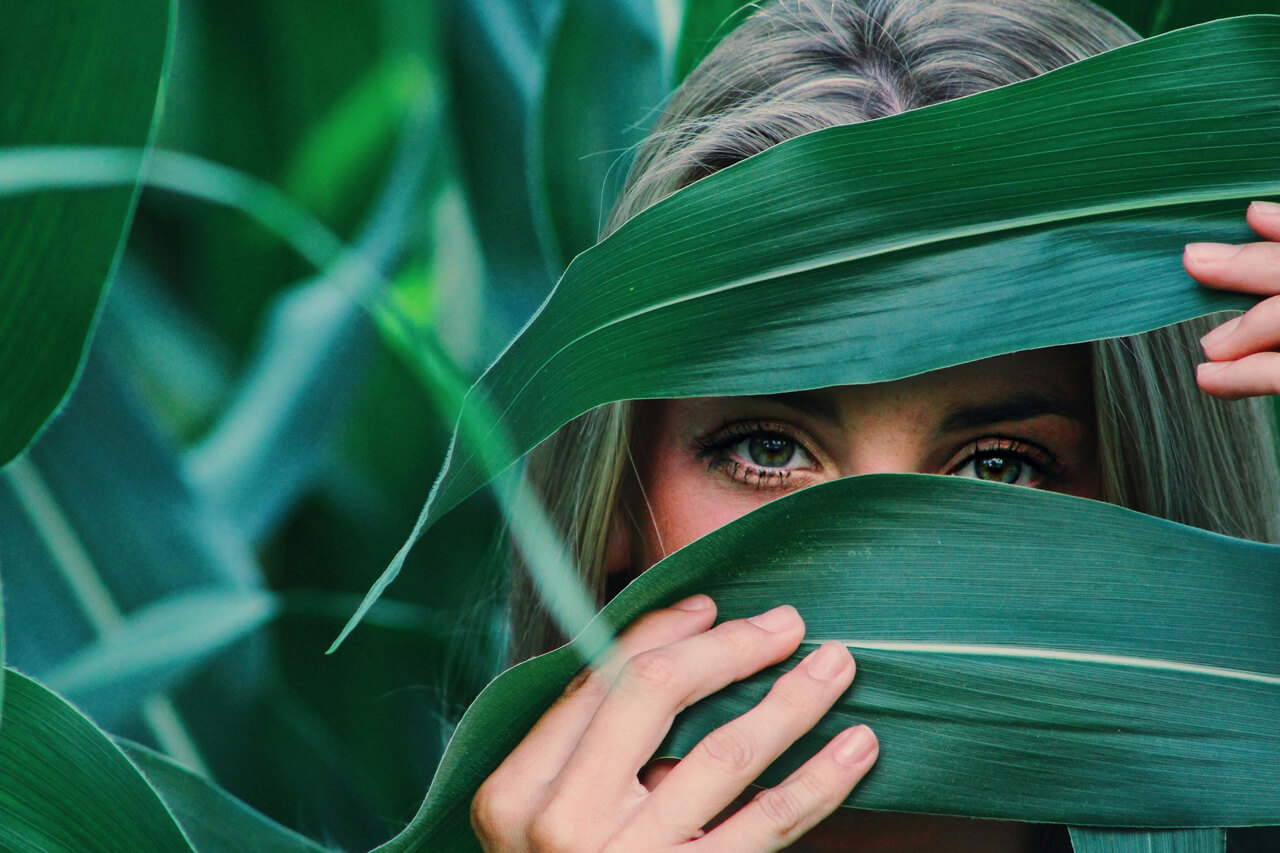 pexels-noellegracephotos-906024
